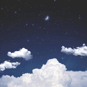 天天摸天天透天天添
