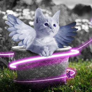 天天摸天天透天天添
